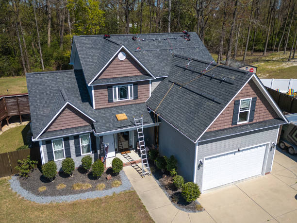 Best Roof Moss and Algae Removal  in Wheeling, WV
